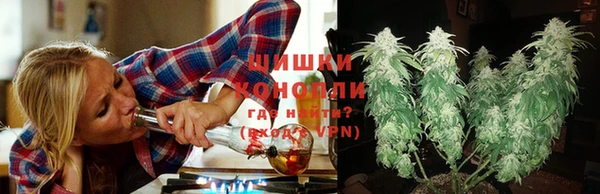 прущая мука Бородино
