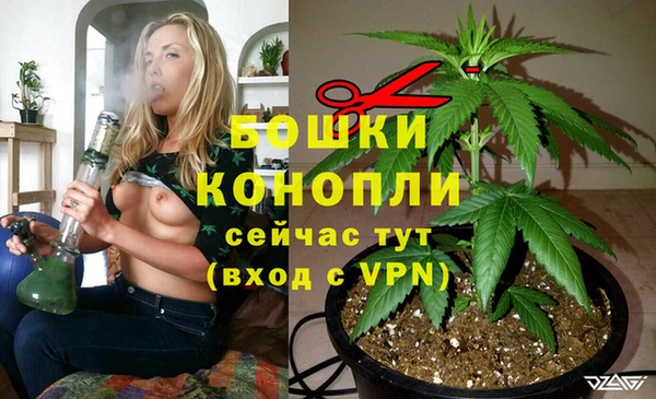 мяу мяу мука Бугульма
