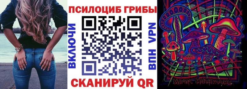 omg зеркало  купить  цена  Усть-Лабинск  Галлюциногенные грибы Magic Shrooms 